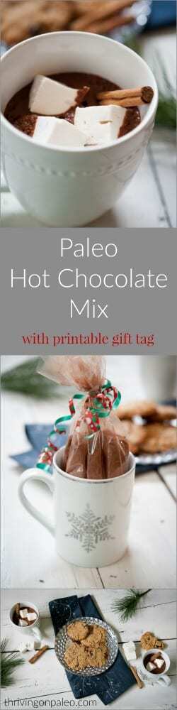Paleo Hot Chocolate Pre-Made Mix recipe and Drink, with printable holiday gift tag