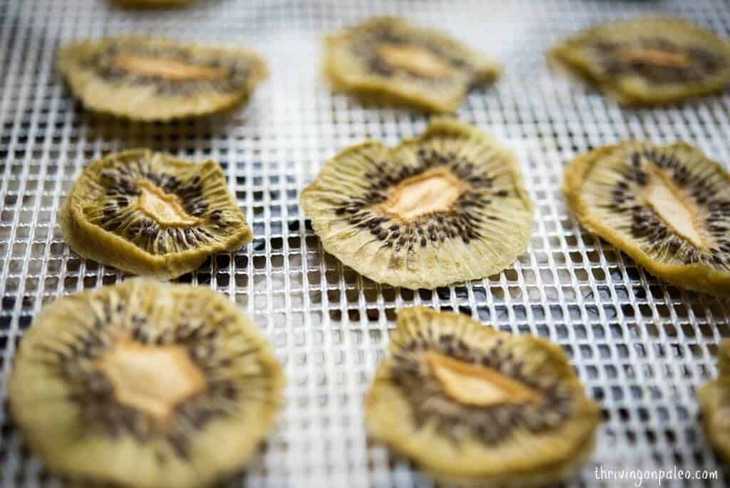 Dehydrated Kiwi Chips by Thriving On Paleo - an easy and tasty snack (Paleo, gluten-free, vegetarian, vegan, GAPS, SCD)
