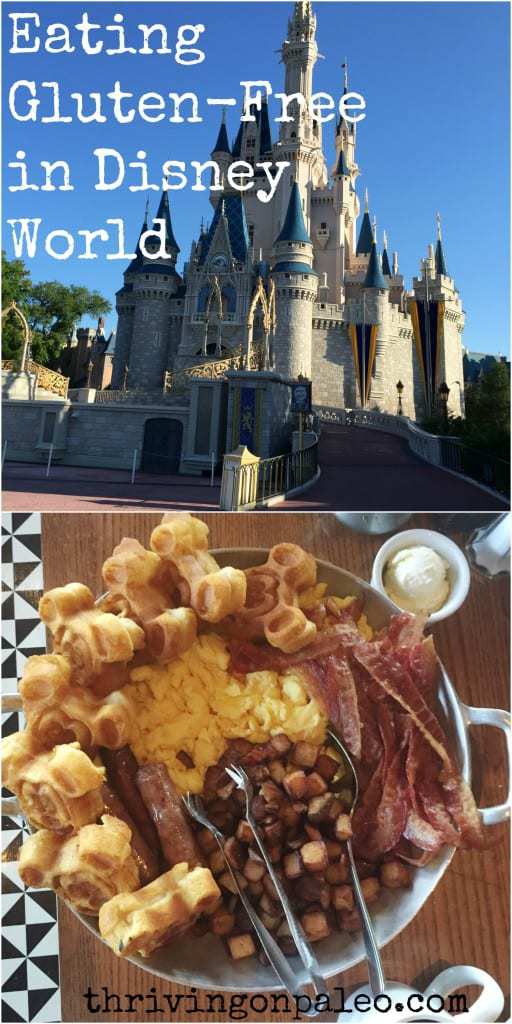 Eating Gluten-Free In Disney World Part 1 by Thriving On Paleo