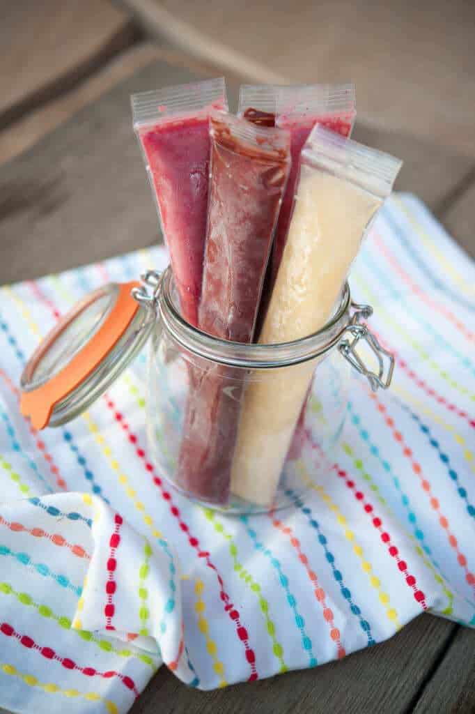 Portable Paleo Popsicles by Thriving on Paleo