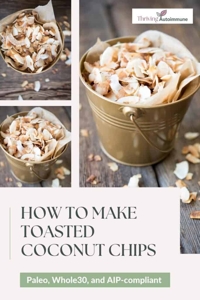 How to make coconut chips or flakes and toasted coconut chips - Oh, The  Things We'll Make!