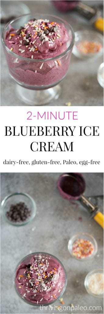 2 minute dairy-free blueberry ice cream - dairy-free, egg-free, gluten-free, and Paleo dessert or snack recipe that is kid-friendly but super healthy!