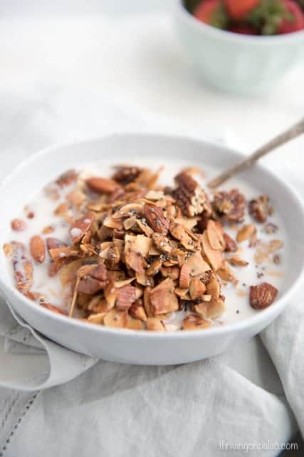 Everyday Granola from Real Food, Real Simple - a paleo, gluten-free breakfast or snack recipe