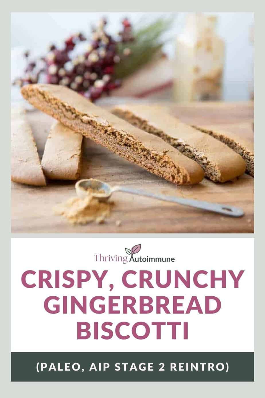 Crispy, Crunchy Gingerbread Biscotti | Thriving Autoimmune
