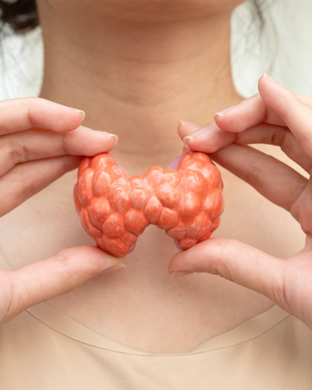 Hashimoto’s vs Hypothyroidism: What’s the Difference (and Why It Matters So Much)